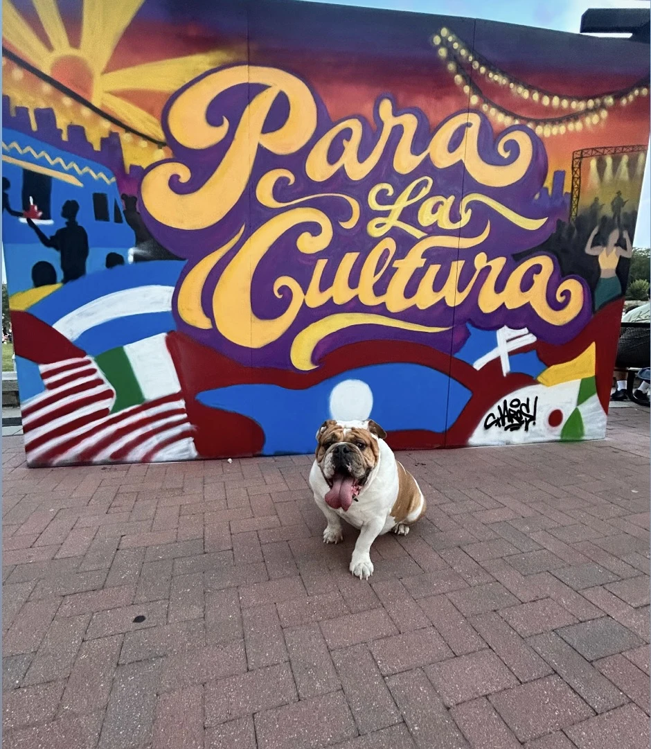 A Cultura Festival Moment